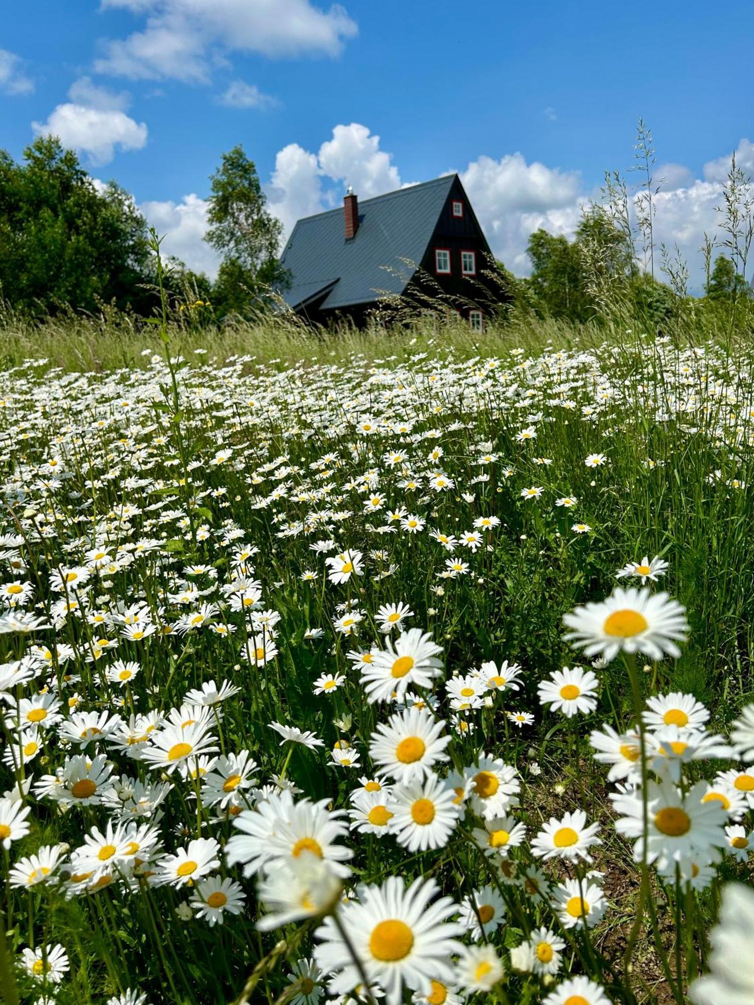 Chata Waliszów Nowy Waliszow Exterior foto